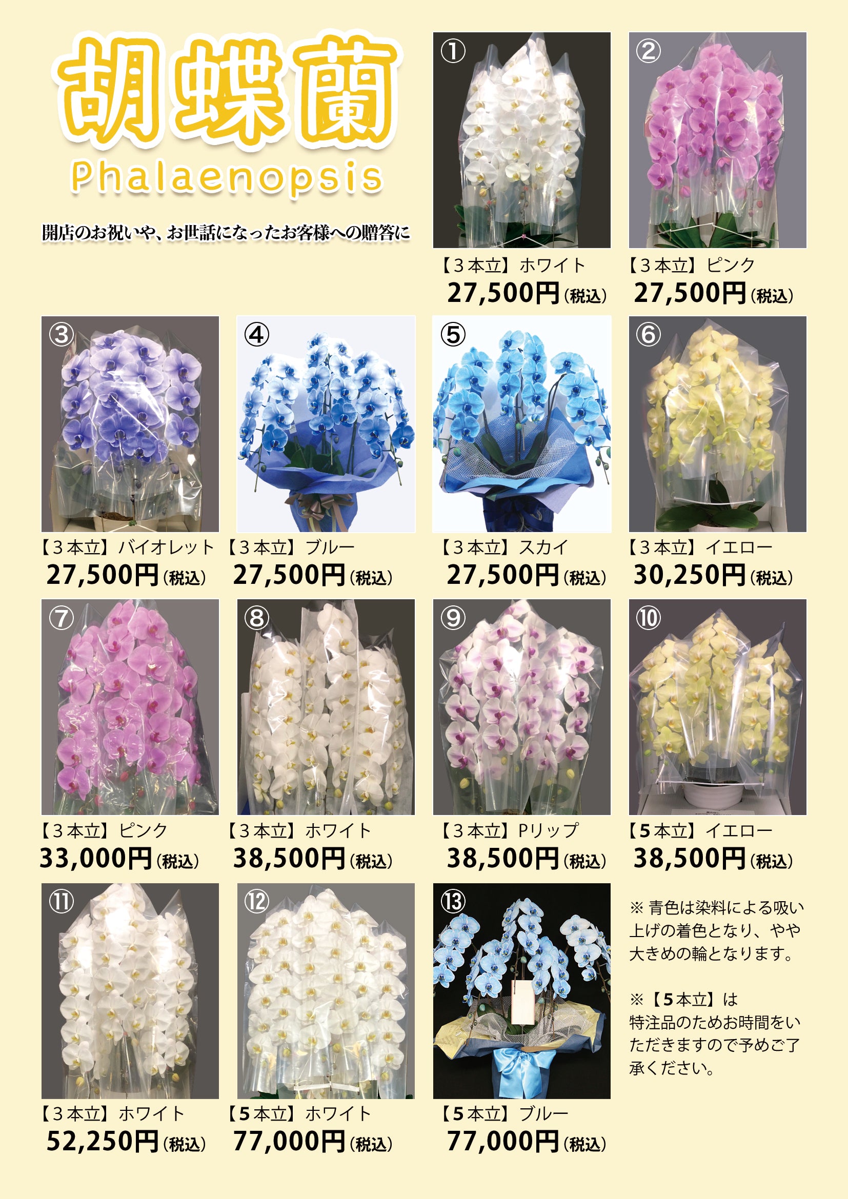 胡蝶蘭 – K・T・C SHOP